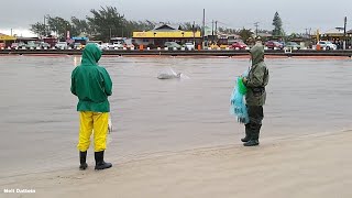 TramandaÃ­RS Barra do Rio  os pescadores seguindo os botos pescando tainhas com tarrafas [upl. by Simaj]