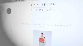 Vanishing Elephant Interview Pilerats [upl. by Ahsemaj]