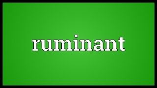 Ruminant Meaning [upl. by Shanan]