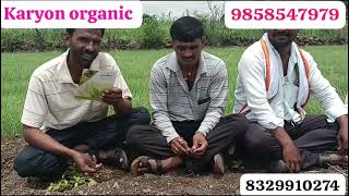 Karyon organic pvt ltd45 दिवसाचे कांदा रोप8329910274 [upl. by Lyall]