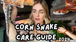 Corn Snake Care Guide Corn Snakes For Beginners Basic Care and Intro [upl. by Notsyrb]