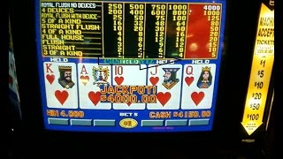 Guaranteed Winner Casino Video Poker Deuces Wild [upl. by Alaunnoif]