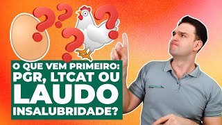 Não erre mais O que fazer primeiro PGR laudo de insalubridade ou LTCAT  HO  AR 102 [upl. by Cantlon]