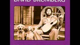 David Bromberg  Chump Man Blues Live [upl. by Nelson]