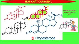 ALDEHYDE  KETONE  DANH PHÁP CÁC HỢP CHẤT TRONG SÁCH GIÁO KHOA CTSTKNTTCÁNH DIỀU  HÓA 11 MỚI [upl. by Enyrhtak]