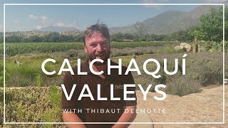 Discover the terroir of the Calchaquí Valleys with Colomé winemaker Thibaut Delmotte [upl. by Nauq]