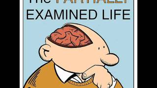 Partially Examined Life podcast  Gilligan on Feminist Theory amp Moral Psychology [upl. by Malchus]