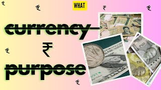 What is Currency used for The Purpose of Money Explained [upl. by Ahsieuqal]