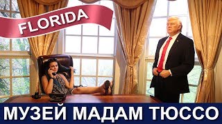 🇺🇸🇺🇸🇺🇸 США Музей Мадам Тюссо в Орландо  Madame Tussauds Orlando  FloridaSunshine [upl. by Annasoh]