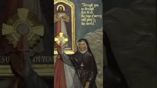 Saint Faustina Diary 1005 inspiration saintfaustina catholic christian christianity god love [upl. by Adalia]