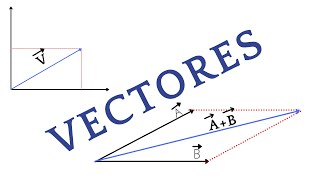 Ejercicios de cantidades escalares y cantidades vectoriales [upl. by Euqinom138]