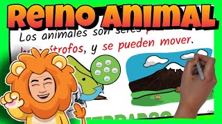 🦁 El REINO ANIMAL para NIÑOS de PRIMARIA  VERTEBRADOS e INVERTEBRADOS [upl. by Aninep]