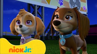 Psi Patrol  Najlepsze Momenty Z Sezonu 9tego PSIEGO Patrolu 🐶 Part 1  Nick Jr Polska [upl. by Kcirdderf]