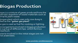 Biogas Methane Production  Process Applications Advantages and Disadvantages [upl. by Laurentium]