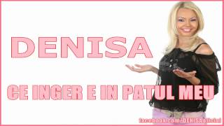 DENISA  Ce inger e in patul meu HIT 2012 [upl. by Eladroc]