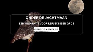 Jachtmaan Reflectie Geleide Meditatie voor Groei [upl. by Ylrebmit]