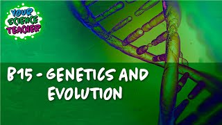 AQA 91 B15  GENETICS AND EVOLUTION [upl. by Onimod717]