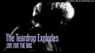 The Teardrop Explodes Guildford Civic Hall  June 5th 1981 [upl. by Neeneg]