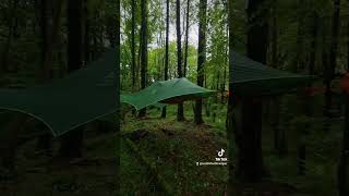 First night in the new Tentsile Connect 30 2 person tree tent Very comfy Forest campTentsile [upl. by Elehcar760]