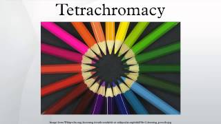 Tetrachromacy [upl. by Alul]