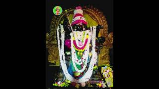 MECHERI BHADRAKALIYAMMAN TODAY STATUS amman mecheri ammanstatusvideo ammantemple amman [upl. by Karlin566]