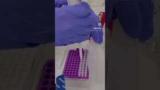 Dijital PCR deneyimi 🧬🤩 dPCR qiagen [upl. by Aihsenet18]