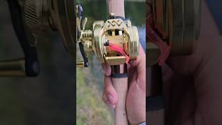 Ultimate Ultralight Baitcasting Reel with DC Braking fishing [upl. by Grondin]