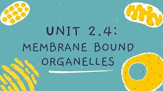 Unit 24 Membrane Bound Organelles [upl. by Millar]