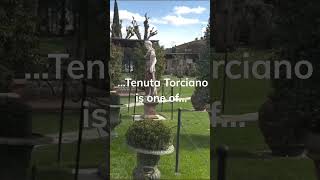 Tenuta Torcianos Wine Paradise 🍷 shorts italy travel [upl. by Halimaj]