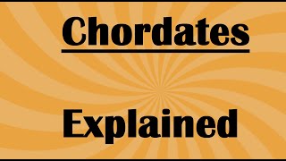 Chordates Fundamental Features and Characteristics [upl. by Keppel]