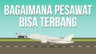 Kenapa Pesawat Bisa Terbang [upl. by Monahan391]