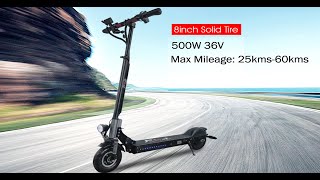 8inch wheel Electric Scooter 36V 500W 800W two roues electric scooter [upl. by Elleinnod896]