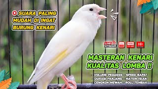 Kenari GACOR‼️ Masteran Burung Kenari PAUD dan Pancingan Kenari MACET BUNYI EPISODE 1566 [upl. by Ashford]