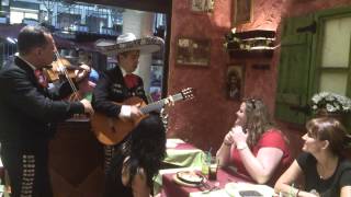 Restaurante mexicano Cantina mariachi Barcelona con mariachis en vivo en Barcelona [upl. by Fagaly312]