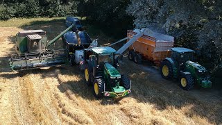 Harvesting milling and ensiling wheat [upl. by Georgeta367]