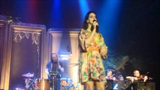 Lana Del Rey  National Anthem Live in Munich [upl. by Ivon]