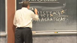 Agarose Gel Electrophoresis DNA Sequencing PCR Excerpt 1  MIT 701SC Fundamentals of Biology [upl. by Utter]