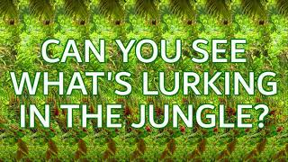 Stereogram Challenge 22  Whats Lurking in the Jungle [upl. by Maupin521]