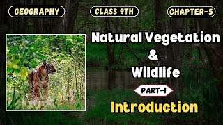 Natural Vegetation amp Wildlife  Introduction Part1  CBSE Class 9th  Geography Chapter5 [upl. by Llyrad659]