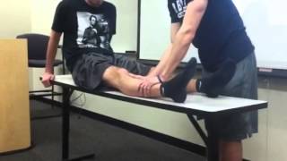 Sweep Test and Ballotable Patella Test [upl. by Nicholle591]