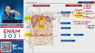 Examen físico del abdomen Semiología en gastroenterología [upl. by Gnay]