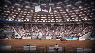 Bull Riding Rodeo  Rapides Parish Coliseum in Alexandria LA [upl. by Cynth]