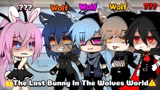 One Bunny In a Whole World Of Wolves  FULL MOVIE  GLMMGLM  Original  Season 1 [upl. by Oderfliw]