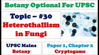 Heterothallism in Fungi Morphological amp Physiological TwoMultiple Alleles Bipolar amp Tetrapolar [upl. by Aerehs]