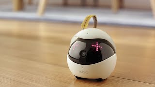 Ebo – The Smartest Robot Companion for Your Cat [upl. by Sackville]