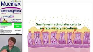 Expectorants Guaifenesin [upl. by Latsirk]