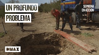 El Seprona interviene en un proyecto que no cumple las normas y supone un peligro Seprona en acción [upl. by Afra620]