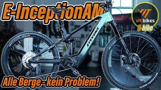 Ein EFully für Alles EInception AM 87 GTF  vitbikesTV [upl. by Aicul]