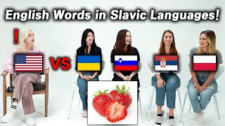 American was Shocked by Word Differences of Slavic Languages Poland Ukraine Serbia Slovenia [upl. by Anilram]