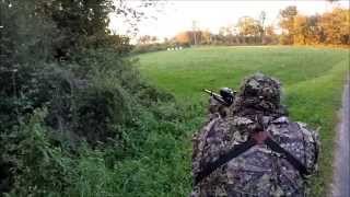 Chasse du Brocard Approche du chevreuil dans le Sud Ouest CHASSE47 [upl. by Fai692]